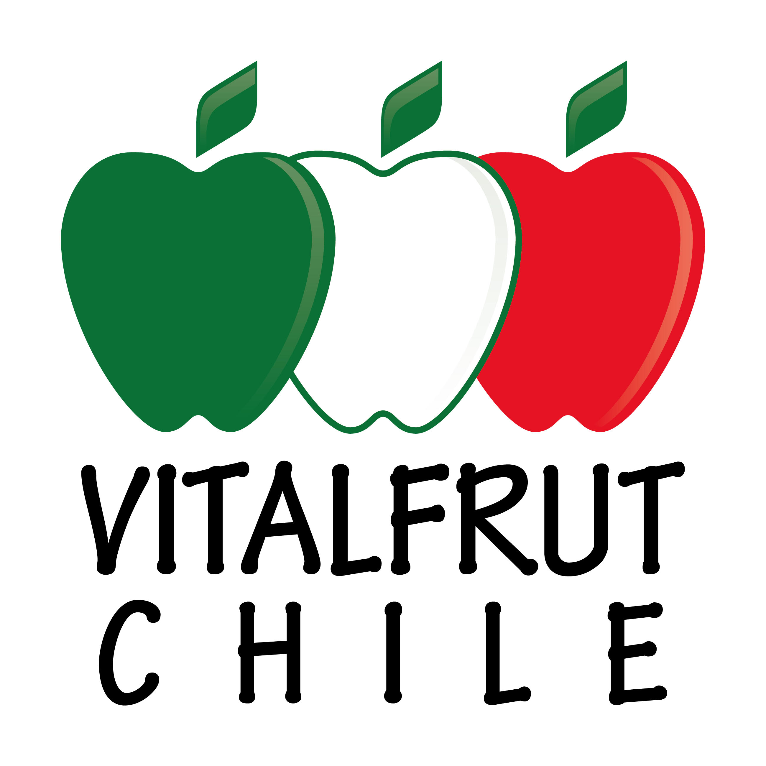 Logo - VITALFRUT CHILE LTDA.
